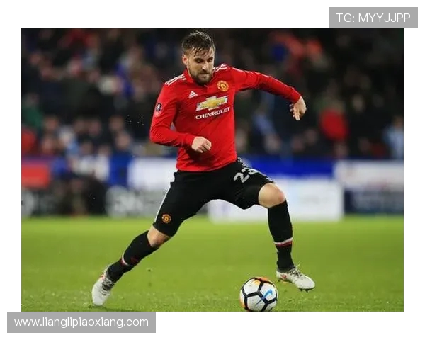 英超1.3亿标王遭死亡威胁！花3万镑买杜宾犬 守卫家人安全